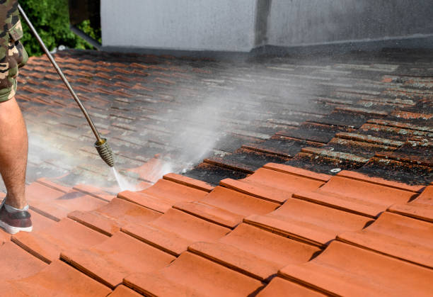 Best Affordable Power Washing  in Jackson, WY