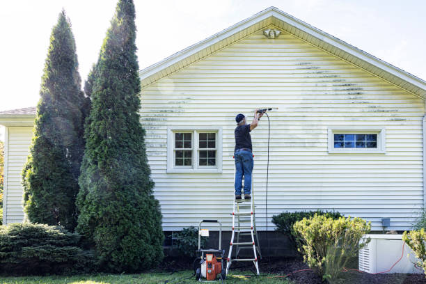 Best Roof Power Washing Services  in Jackson, WY